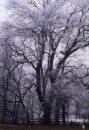 Winter in Hessen 2