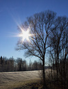 Wintersonne