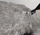 Fotos_Winter
