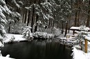 Winter 2
