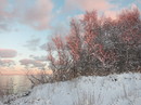 Winter an der Boddenküste