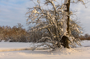 Endlich Schnee