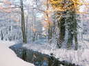 winterlicher Waldspaziergang