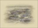 Fotos_Winter