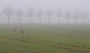 Der Winter vor einem Jahr 
