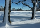 Fotos_Winter