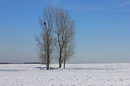 Einen schönen Wintertag erlebt