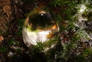 ICE_egg
