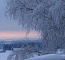 Winter 2005