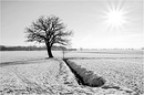 Stand alone