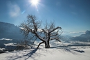 Winter beim Wettergucker 02