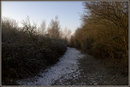 Der Weg