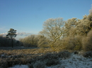 Winterspaziergang