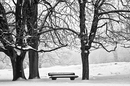 WINTERIDYLLE