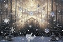 Winterzauber