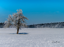 Winterlandschaft im Linzgau
