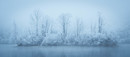 Winter Wonderland