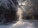 Winterstimmung... 