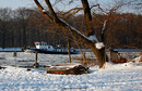 Winter in Berlin 2013
