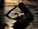 Licht und Schatten