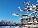 Blau-Weiss