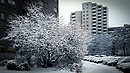 Schneestadt