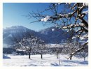 Neuschnee.....