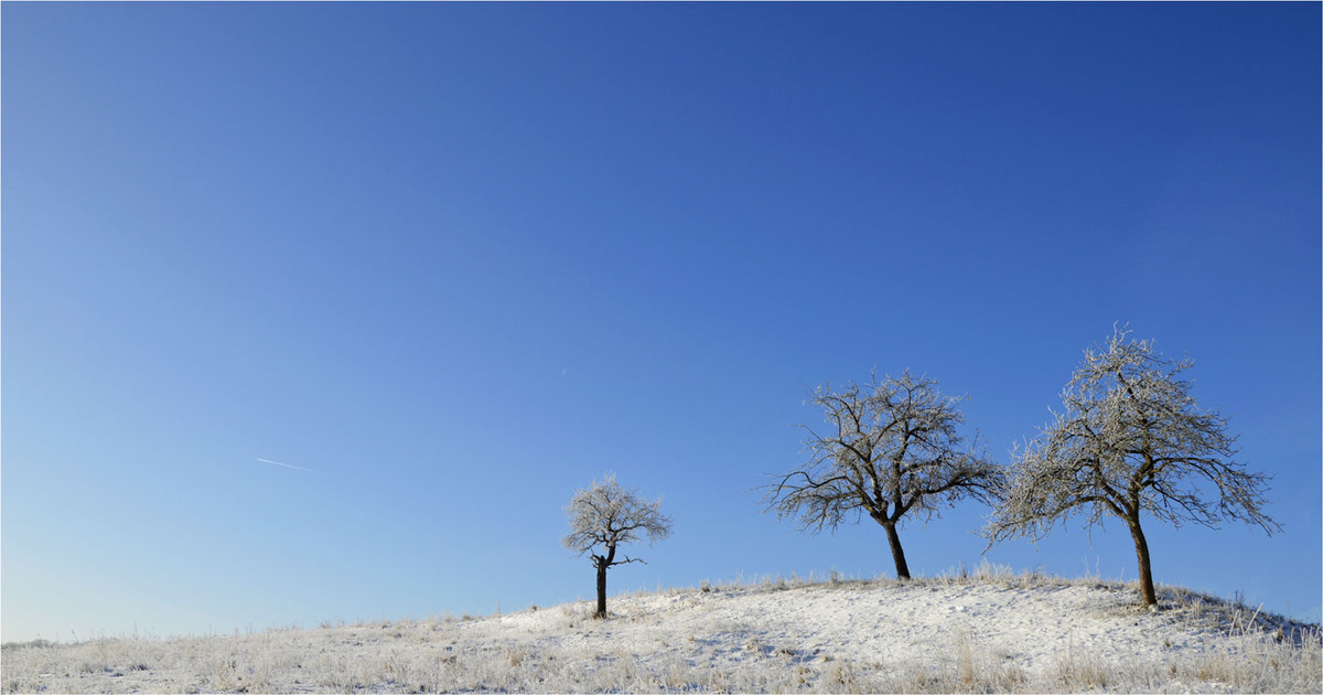 Winter 2012,der eigentlich keiner ist