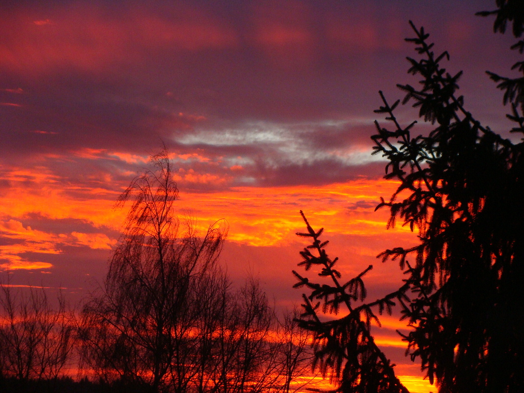 der erste morgen iim neuen jahr in apolda sah so aus