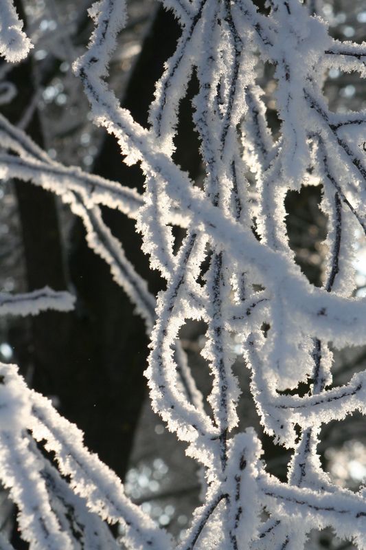 Winterzauber
