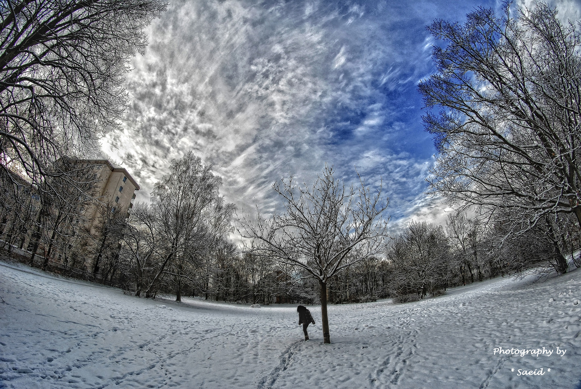 Eiskalte Fisheye 