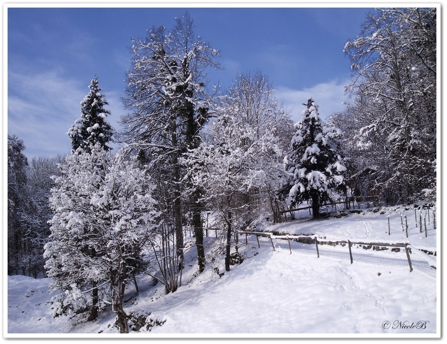 Winterliches 12