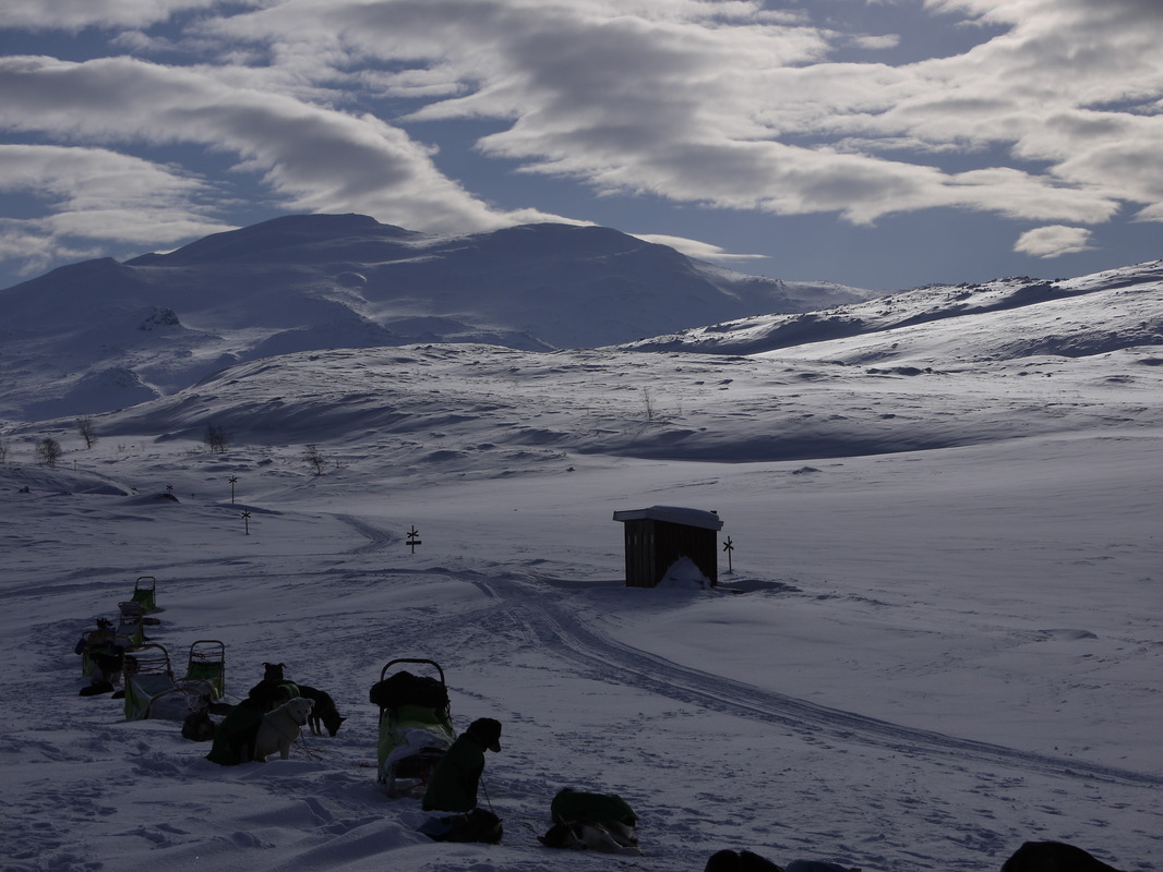 Rast im Hochfjäll