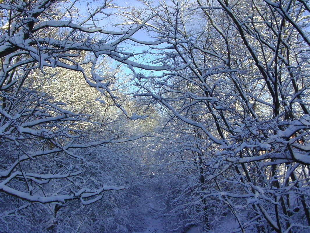 Winterspaziergang