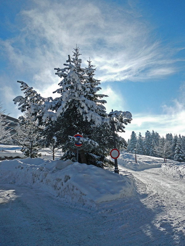 Winterwunderland 03