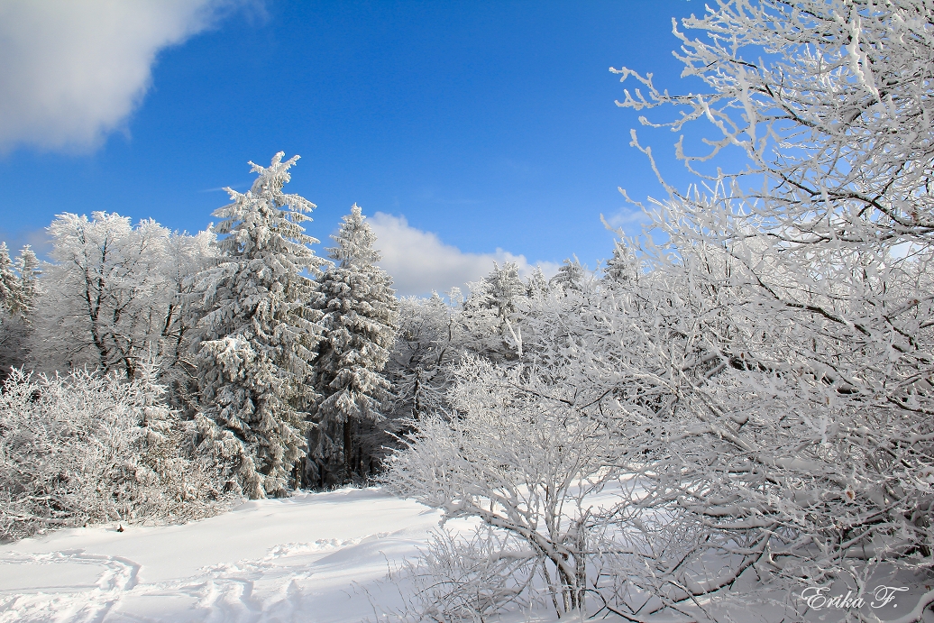 Winterwunderland 2