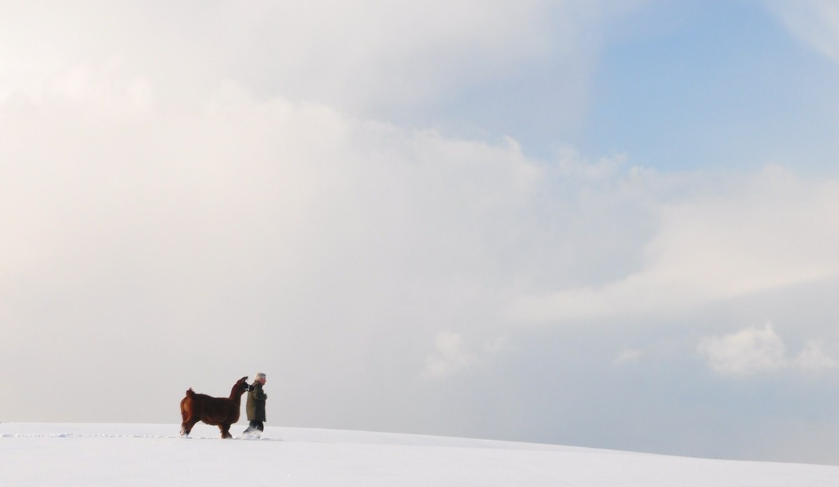 Journey