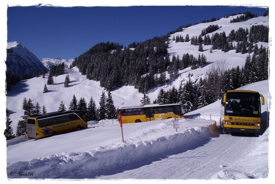 Bussalp 2