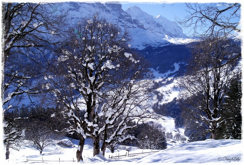 Bussalp 7