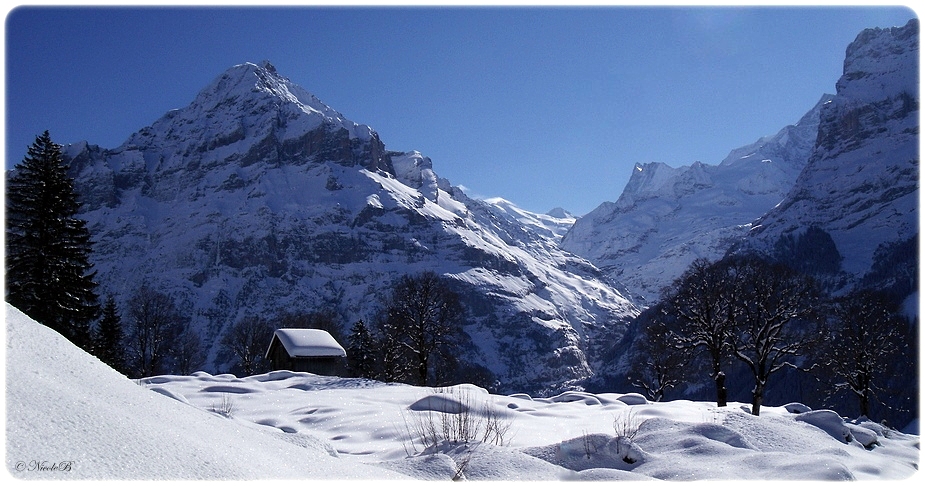 Bussalp 8
