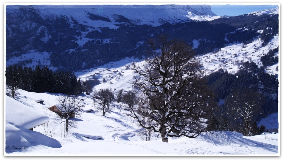 Bussalp 10