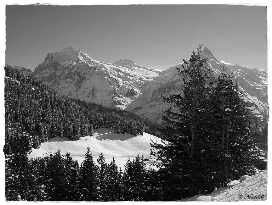 Bussalp 12