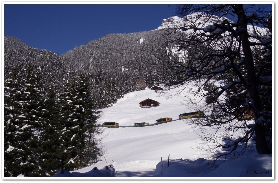 Bussalp 13