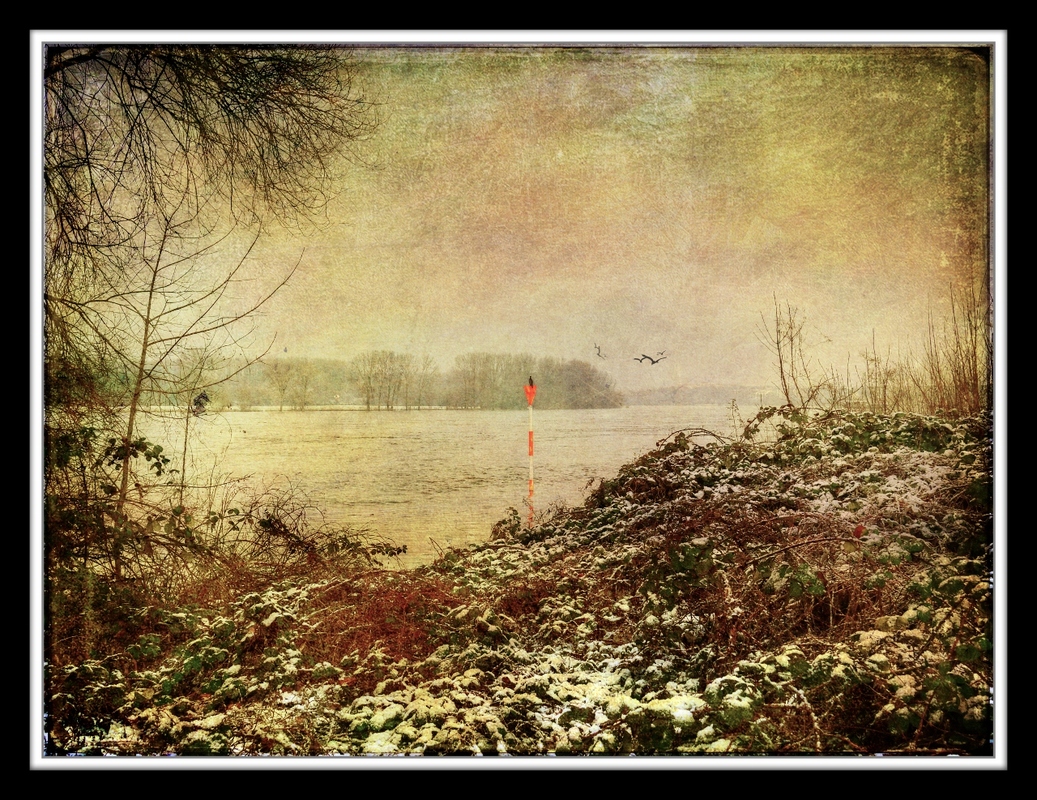 Der Rhein