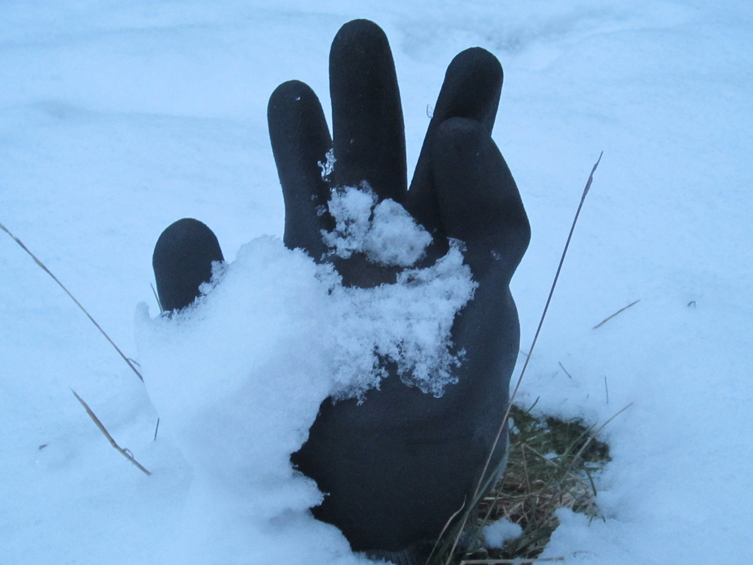 Die Hand !