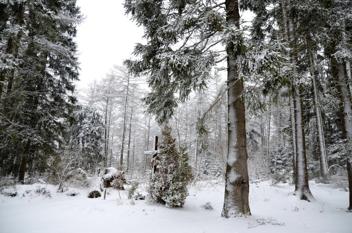 Wald