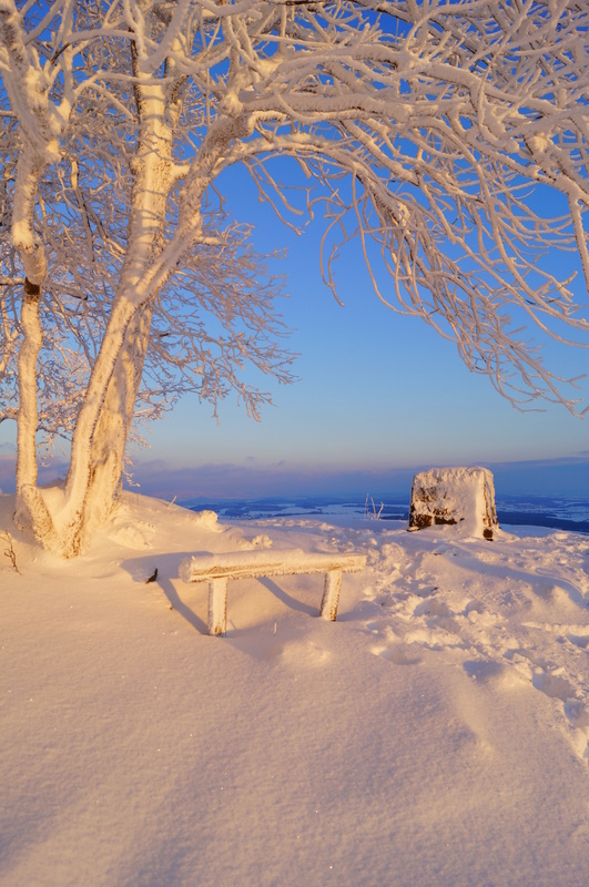 Sonniger Wintertag