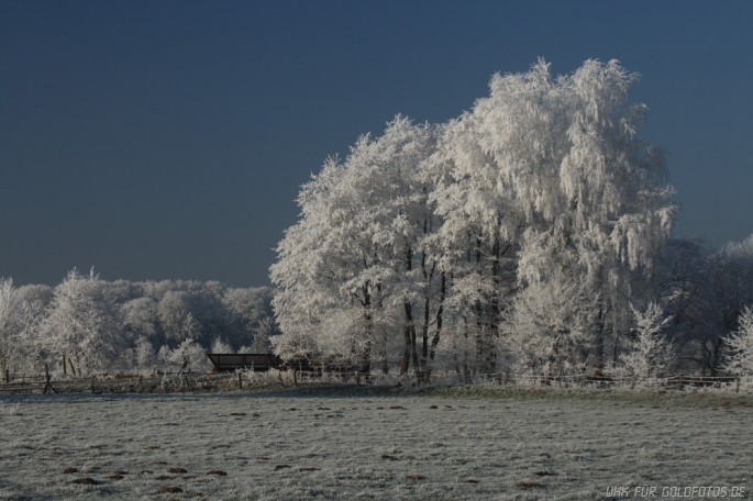 Winter-13