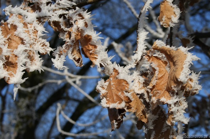 Winter-19
