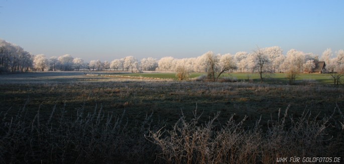 Winter-22